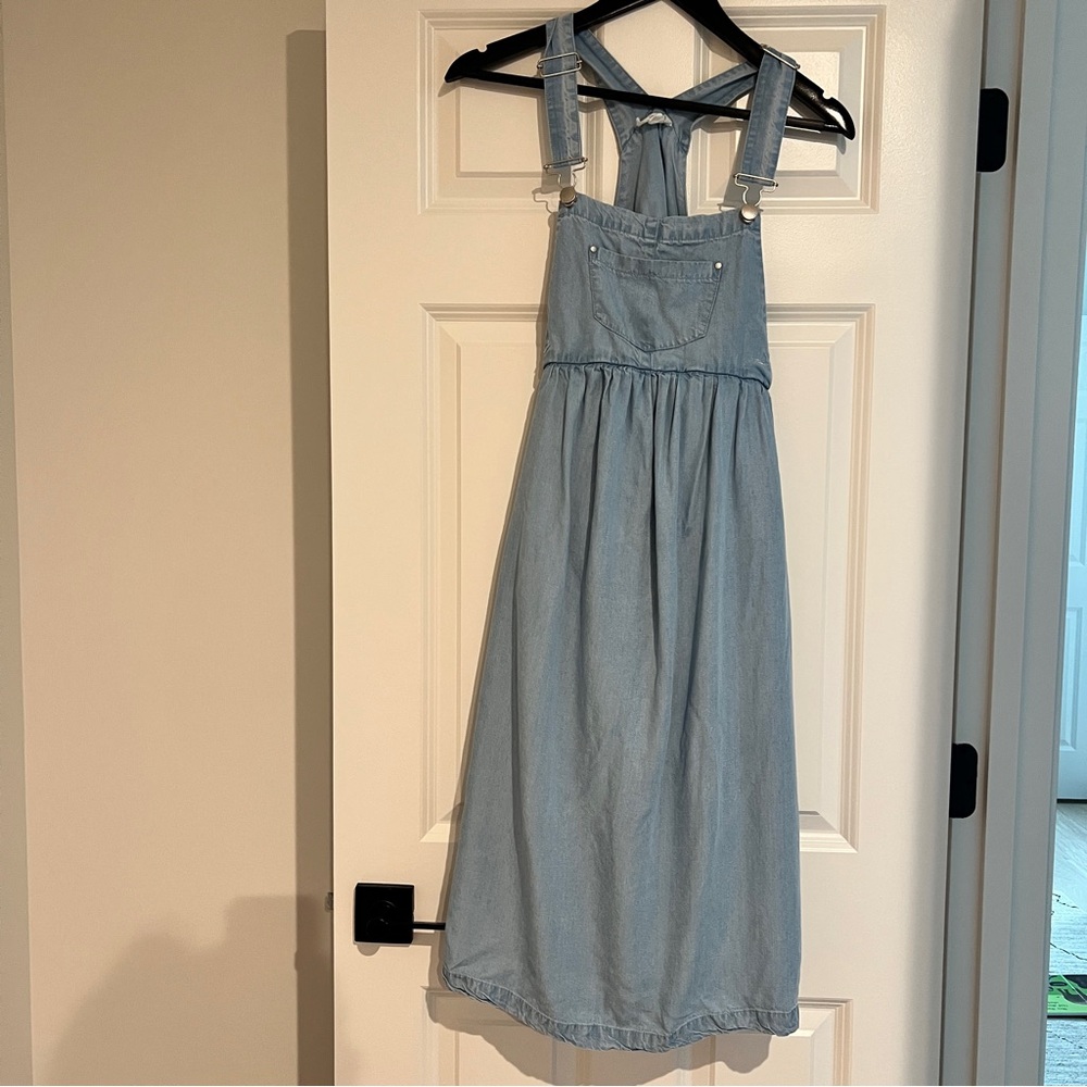 Seraphine Light Blue Denim maternity Dress
